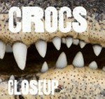 Crocs closeup.