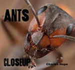 Ants / Andrew Kelly.