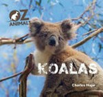 Koalas / Charles Hope.