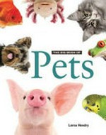 The big book of pets / Lorna Hendry.