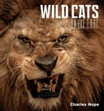 Wild cats : on the edge / Charles Hope.