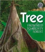 Tree : from seed to mighty forest / David Burnie.