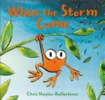 When the storm came / Chris Naylor-Ballesteros.