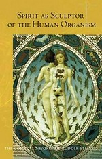 Spirit as sculptor of the human organism : sixteen lectures given in Stuttgart, Dornach, The Hague, London and Berlin in 1922 / Rudolf Steiner ; translated by Matthew Barton ; introduction by Matthew Barton.