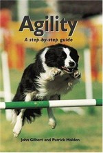 Agility : a step-by-step guide / Patrick Holden and John Gilbert.