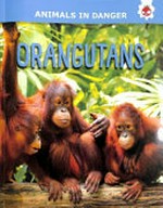 Orangutans / by Emily Kington.