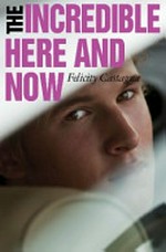 The incredible here and now / Felicity Castagna.